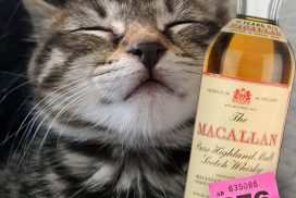Wallington Animal Rescue Tombola whisky turns out to be rare bottle and sells at auction for £1600