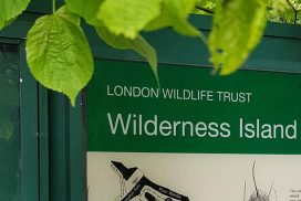 A walk around the Wilderness Island Nature Reserve