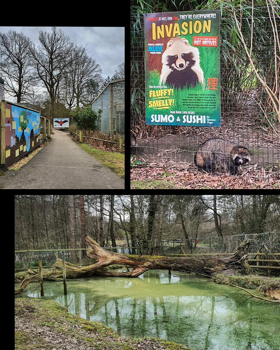 Tilgate Nature Centre Zoo