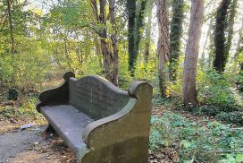 Wandle Trail: Carshalton to Morden Hall via Ravensbury Park and Watermeads