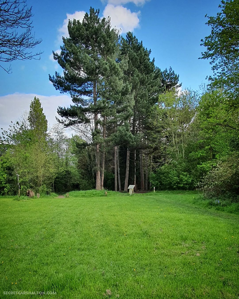 meadow