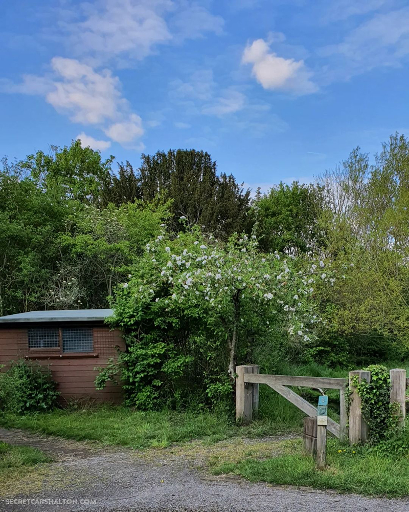 shed
