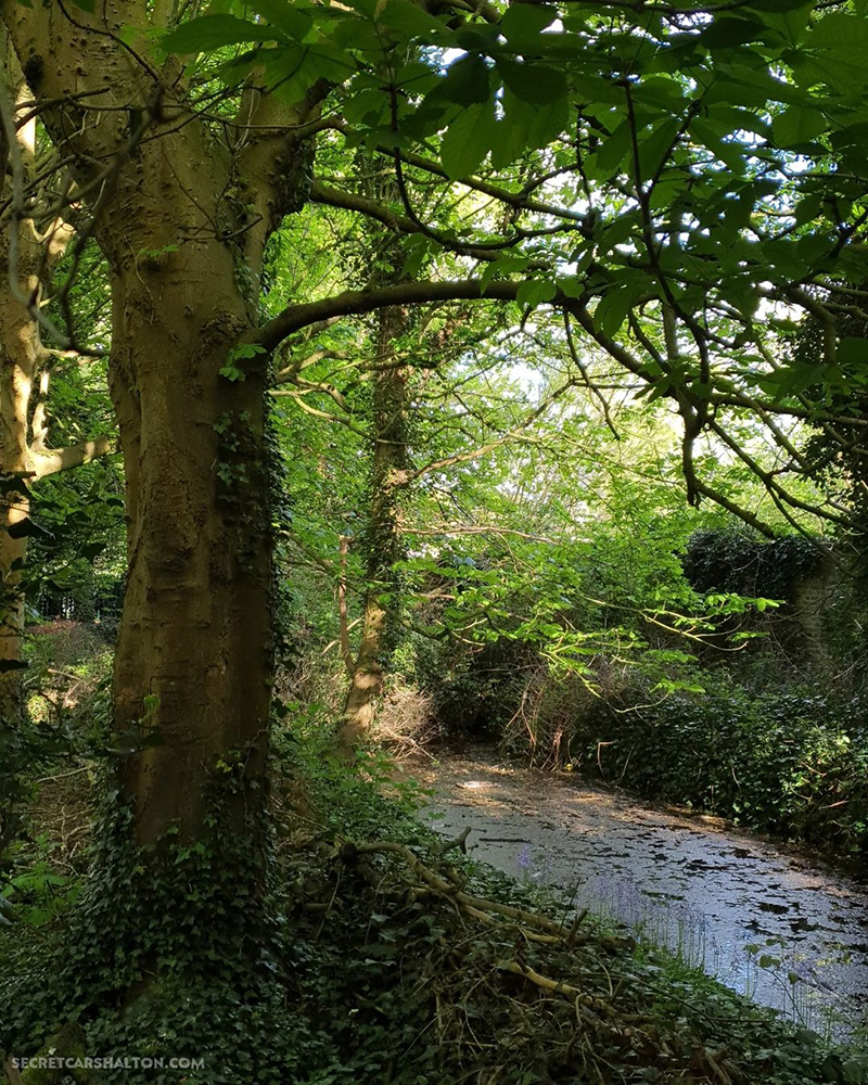 wandle course