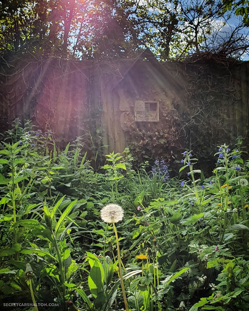 Bird house