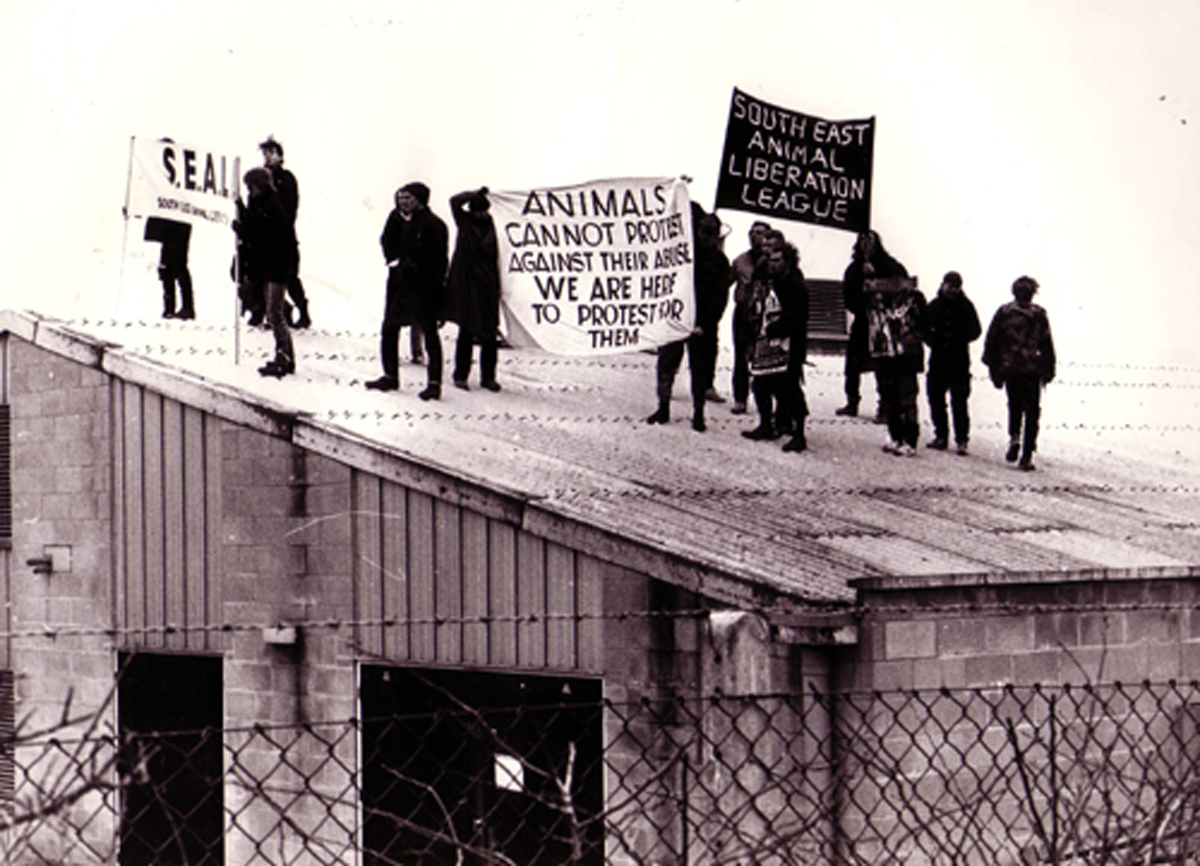 Protestors