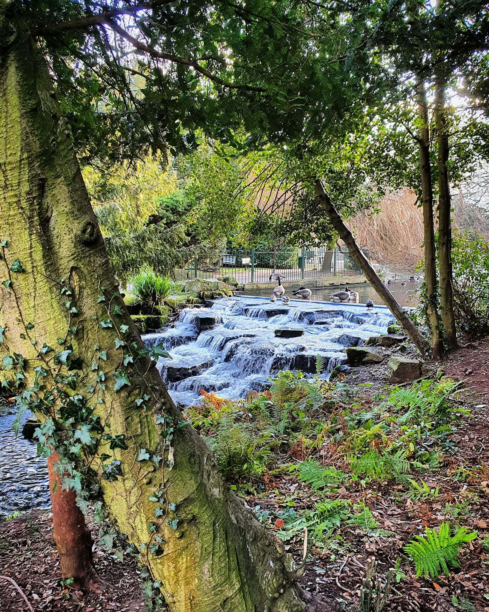 Cascade
