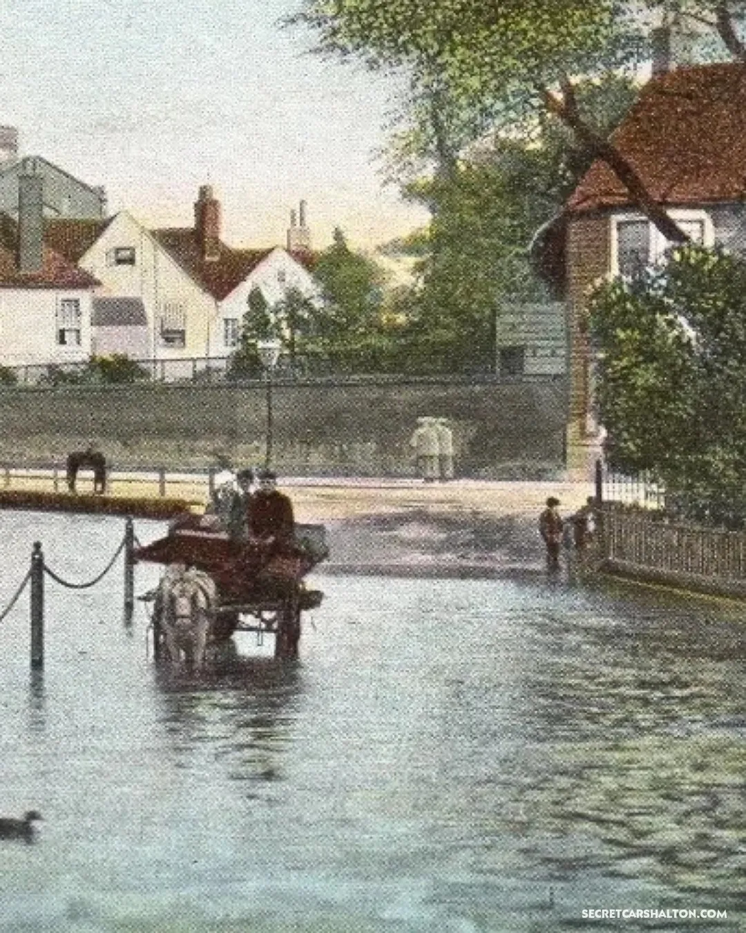 Horse pond