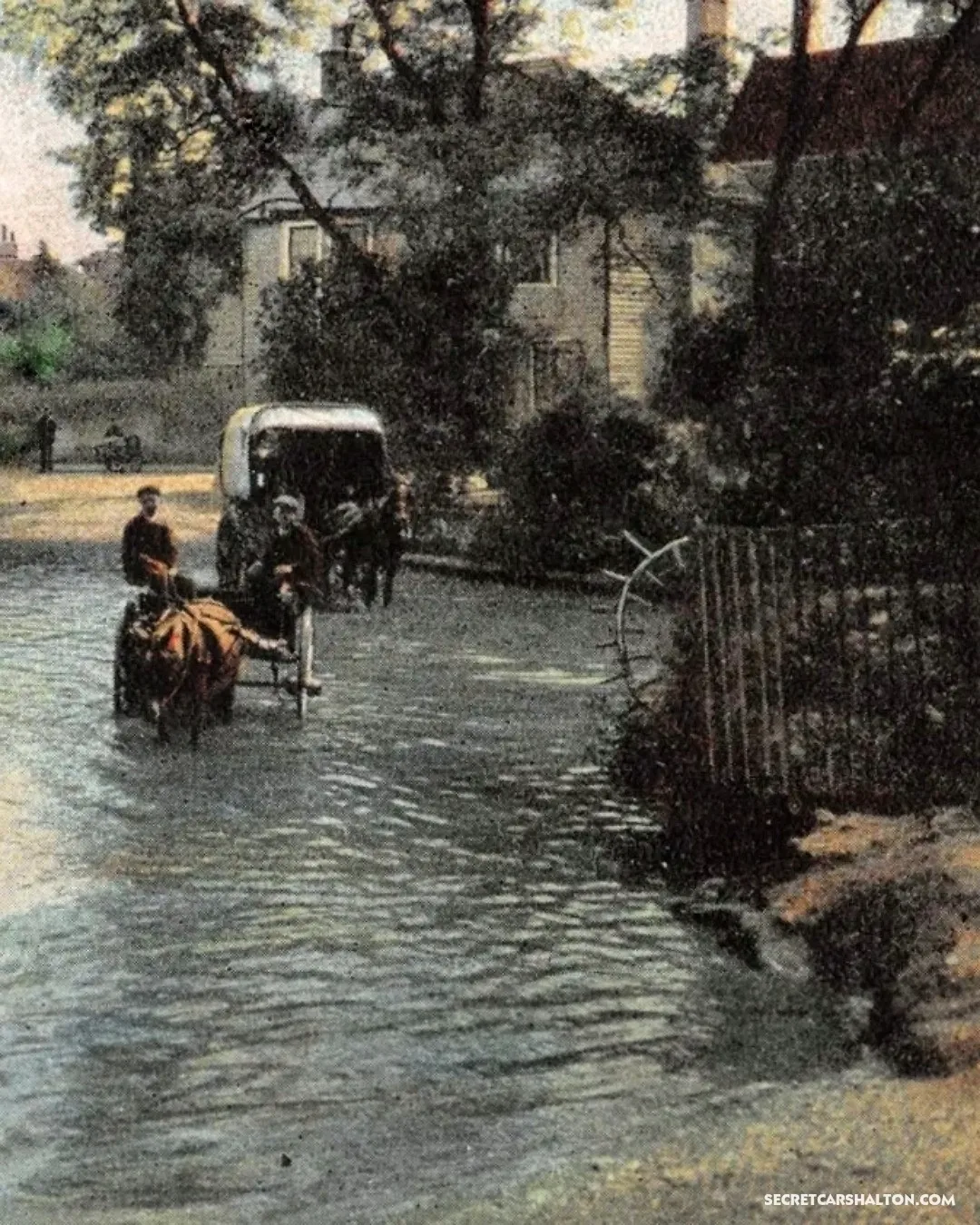 Horse pond