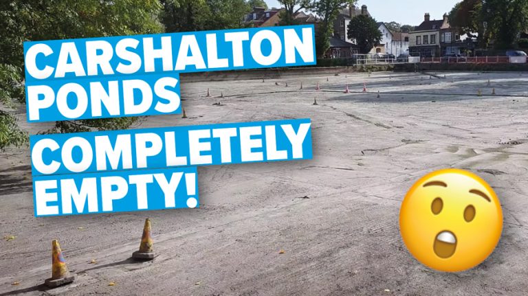 🎥 Video: Carshalton Ponds completely empty during October 2023
