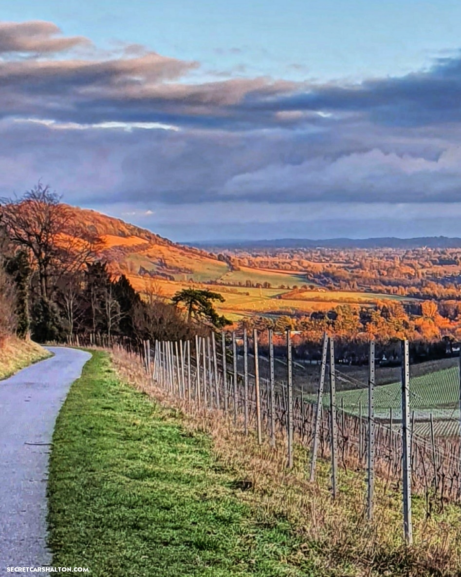 Views across Denbies Wine Estate, Ranmore Common and Polesdon Lacey