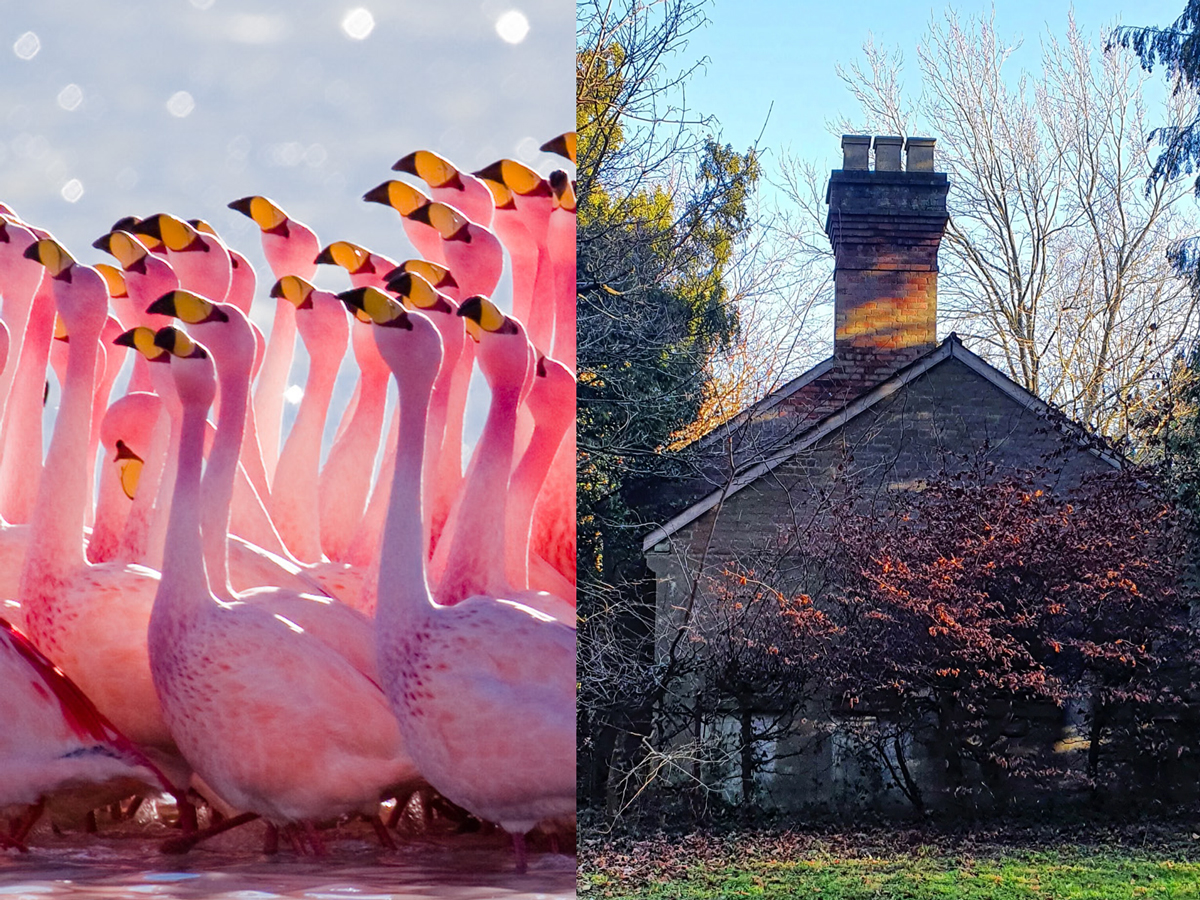 The Oaks Bake House and the Flamingo named after the owner