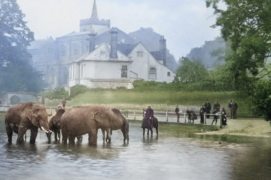 The Sanger’s travelling circus elephants that stopped off at Carshalton and Ewell