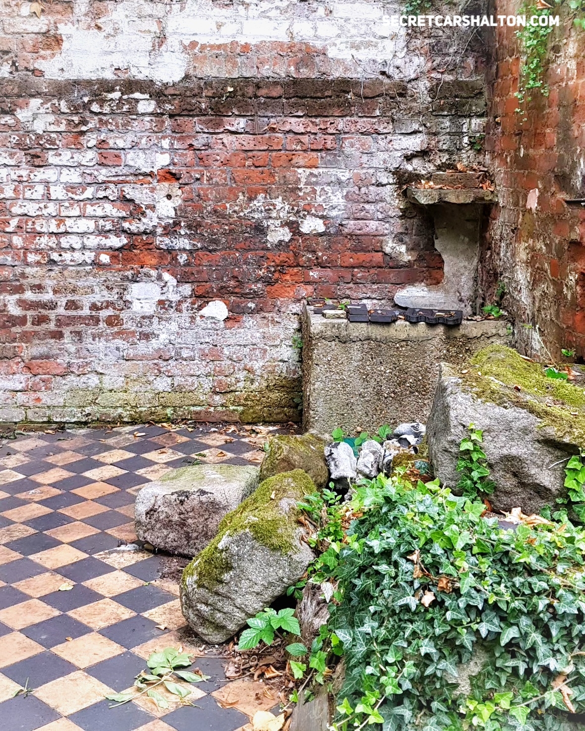 Uncovering Honeywood’s forgotten garden Uncovering Honeywood’s forgotten garden