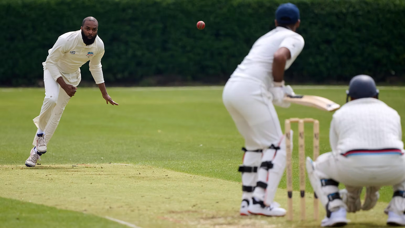 cricket