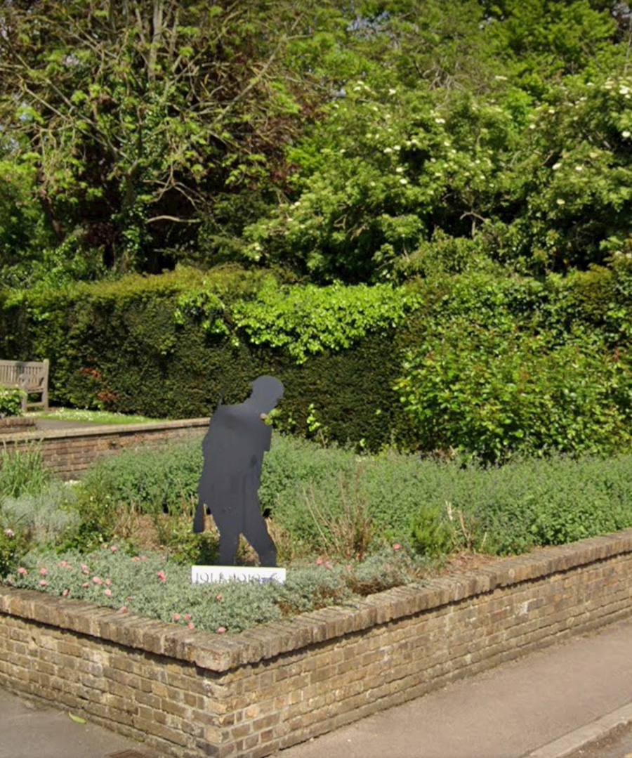 hedge
