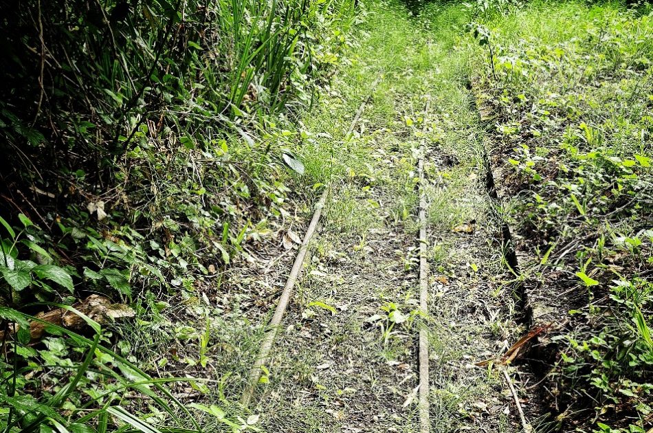 Forgotten railway tracks from Sutton’s industrial past