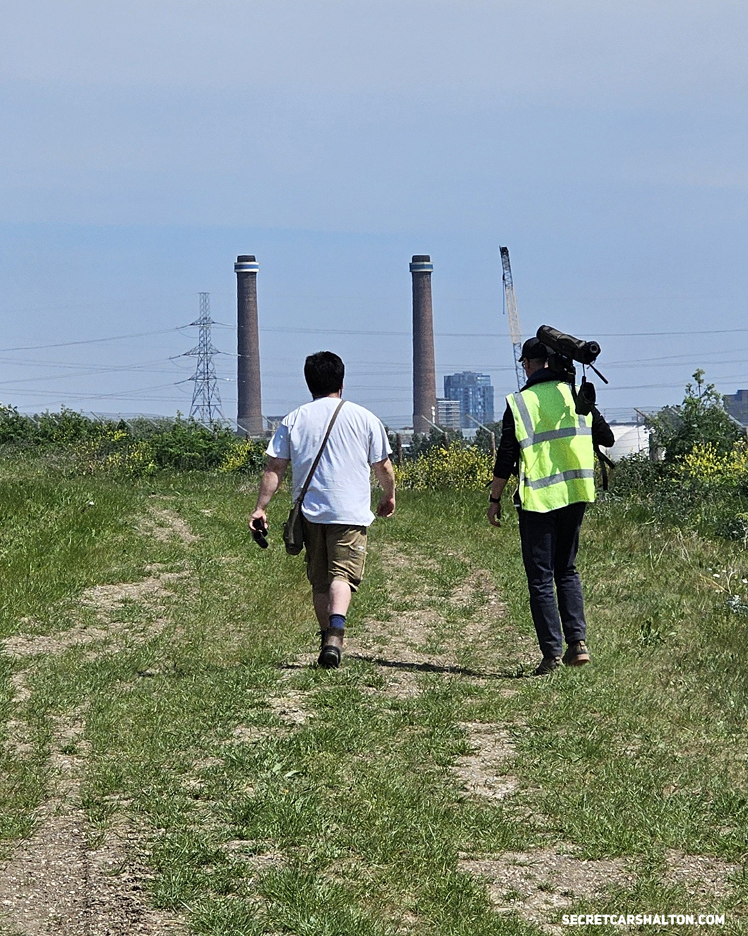 Beddington Farmlands – slow and steady wins the race