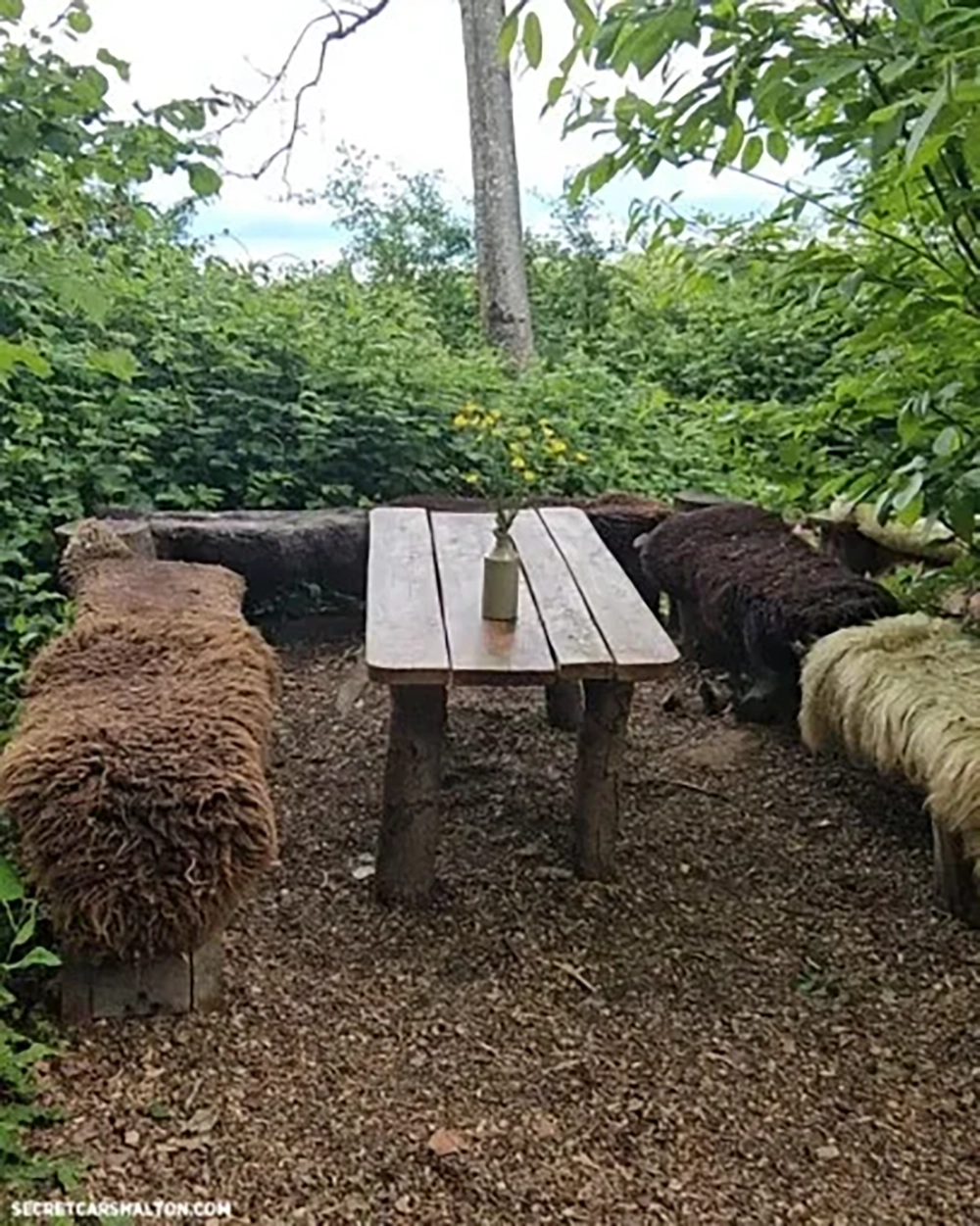 There’s a woodland café hidden in the Surrey Hills – and you CAN’T reach it by car