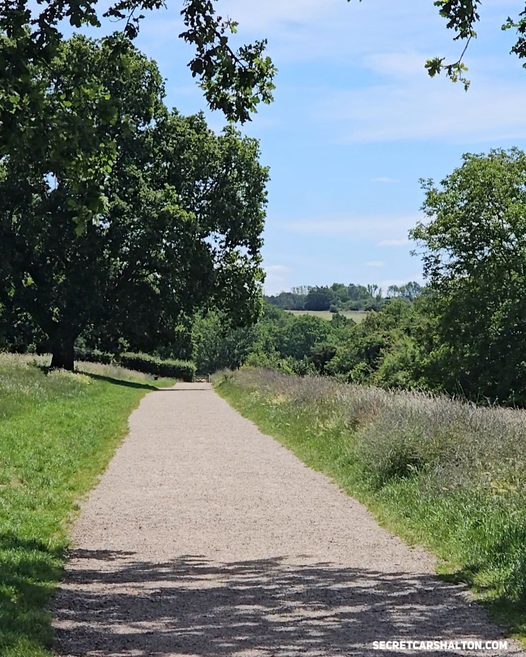 5 Surprising things about Riddlesdown Common